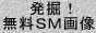 ���@�I����SM�摜