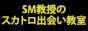 SM�����̃X�J�g���o�����
