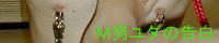 Mj_̍`nlƖLlւ̓`