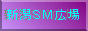 VSML