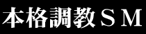 ソドムの市